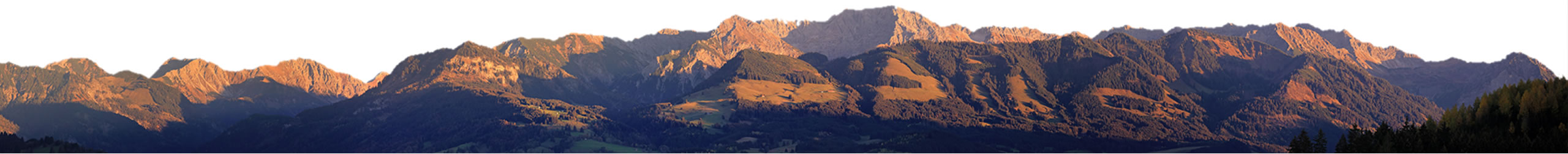 Alpen Hausverkauf mit Makler für Immobilien mit Bergblick bei Bregenz und Bregenzerwald